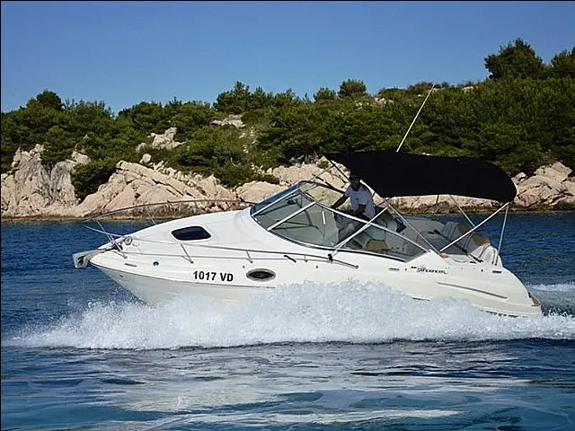 Sea Ray 240 Sundancer - [External image]