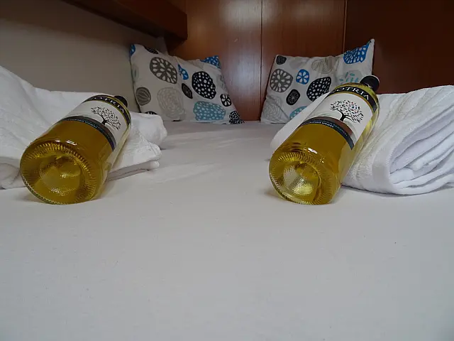 Cyclades 50.5 - [Internal image]