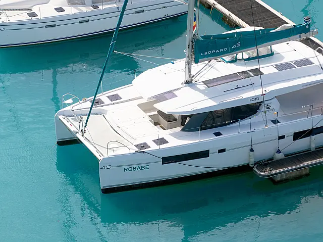 Leopard 45 - [External image]