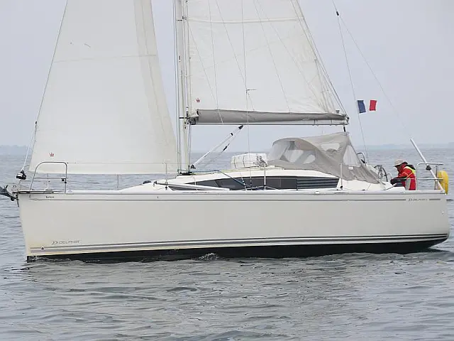 Delphia 31 - [External image]