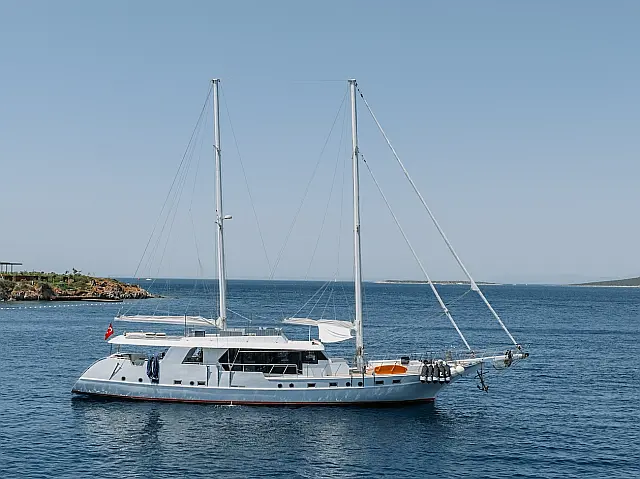 Motorsailer S4 - [External image]
