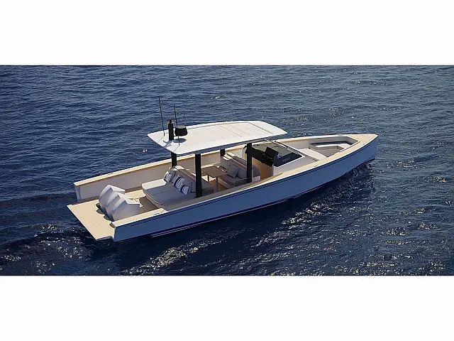 Swan Shadow - [External image]