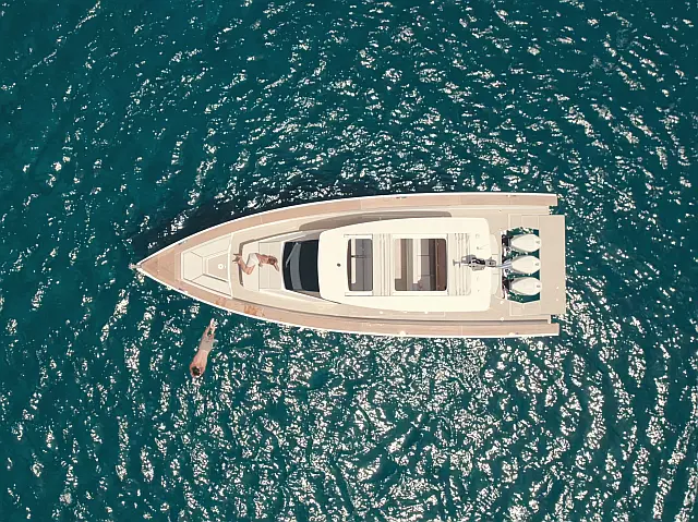 Swan Shadow - [Layout image]