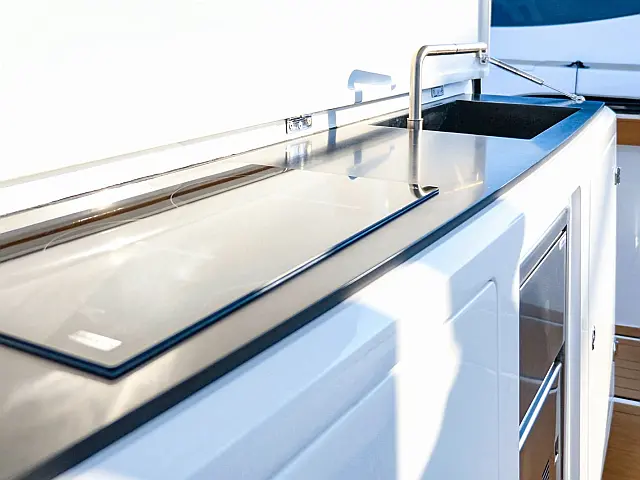 Swan Shadow - [Internal image]