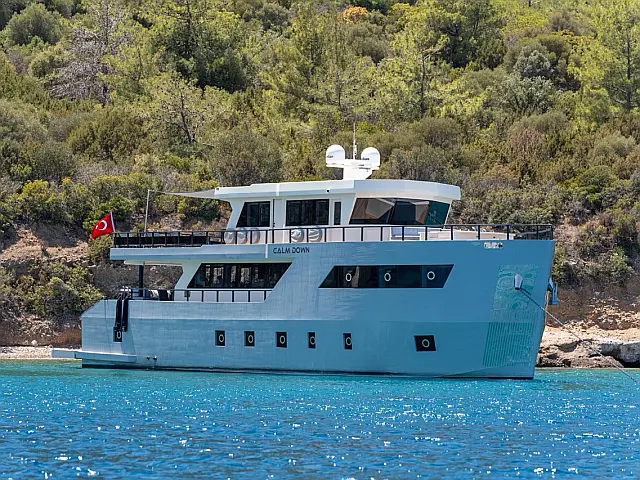 CALM DOWN  - [External image]