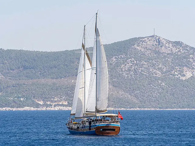 GOZDEM THE ONE - [Layout image]