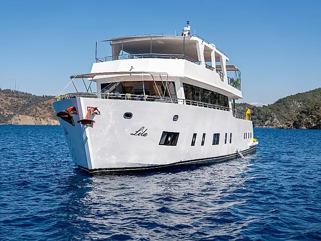 Motoryacht Lila Trawler - [External image]